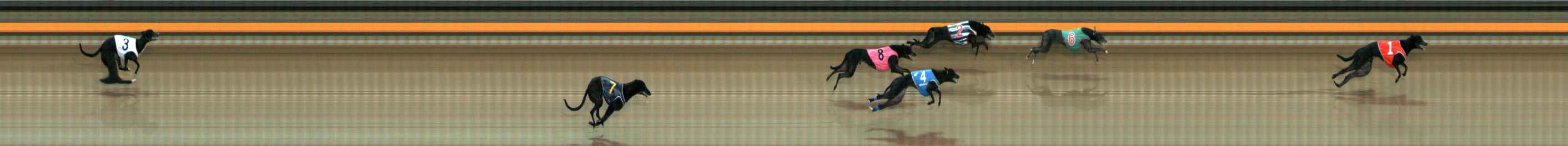 Photo finish for Ballarat Race 4