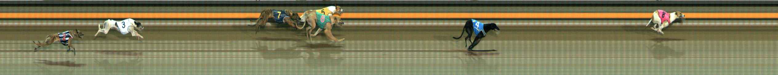 Photo finish for Ballarat Race 5