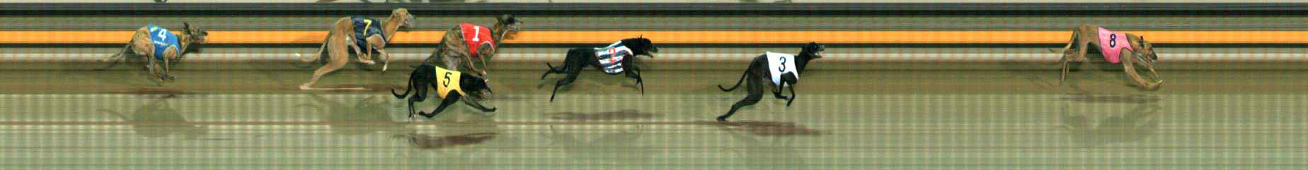 Photo finish for Ballarat Race 6