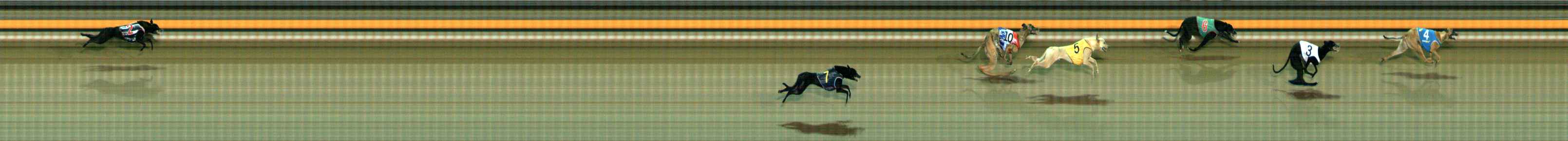 Photo finish for Ballarat Race 10