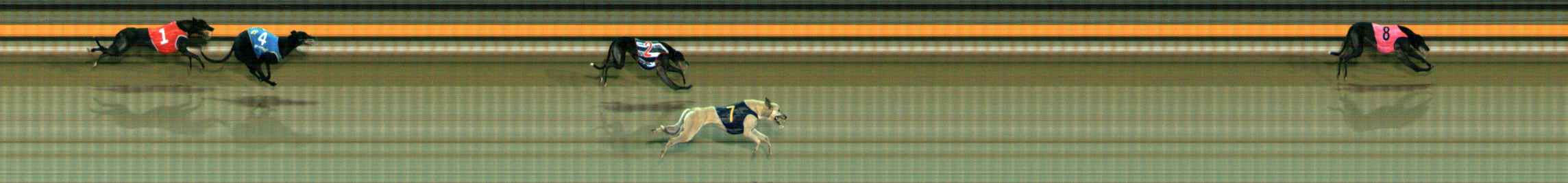 Photo finish for Ballarat Race 11