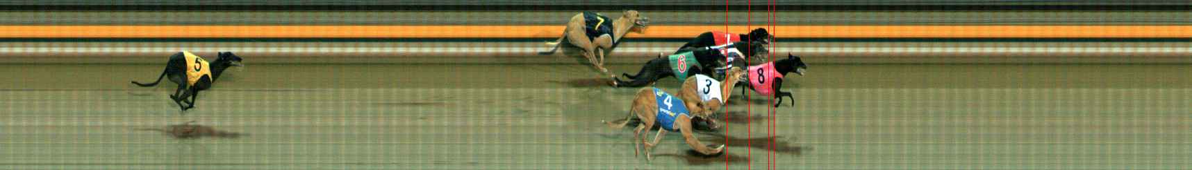 Photo finish for Ballarat Race 12