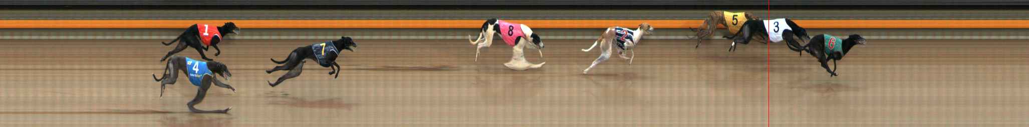 Photo finish for Ballarat Race 5