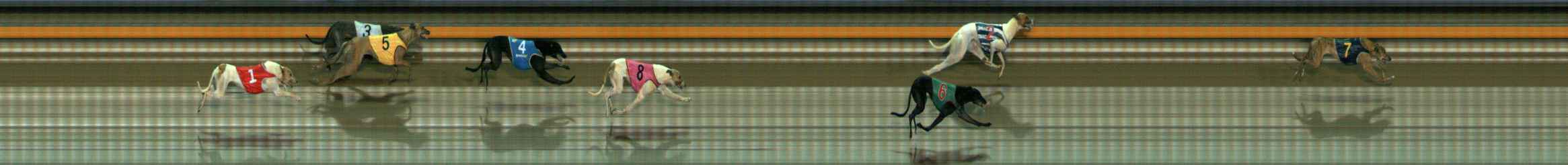 Photo finish for Ballarat Race 9