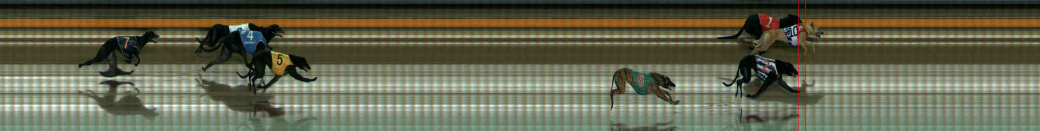Photo finish for Ballarat Race 10