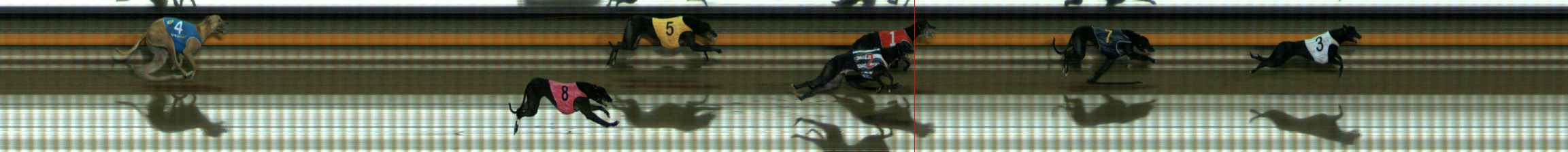 Photo finish for Ballarat Race 12