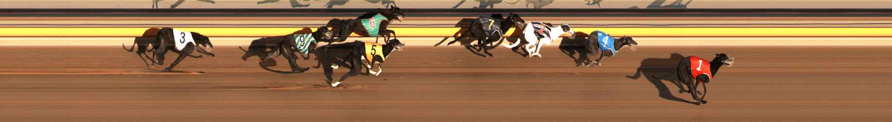 Photo finish for Ballarat Race 1