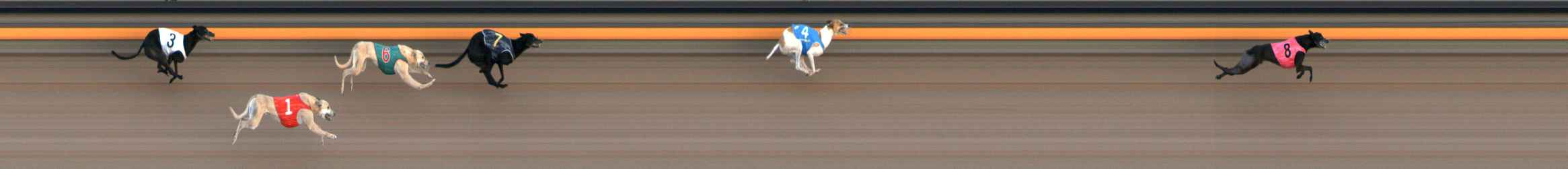 Photo finish for Ballarat Race 5