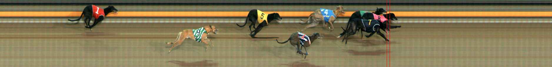 Photo finish for Ballarat Race 6