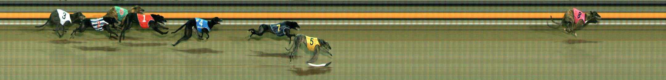 Photo finish for Ballarat Race 7