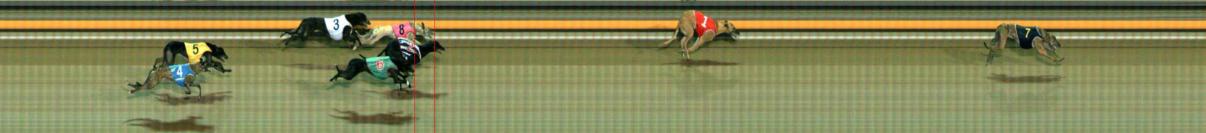 Photo finish for Ballarat Race 8