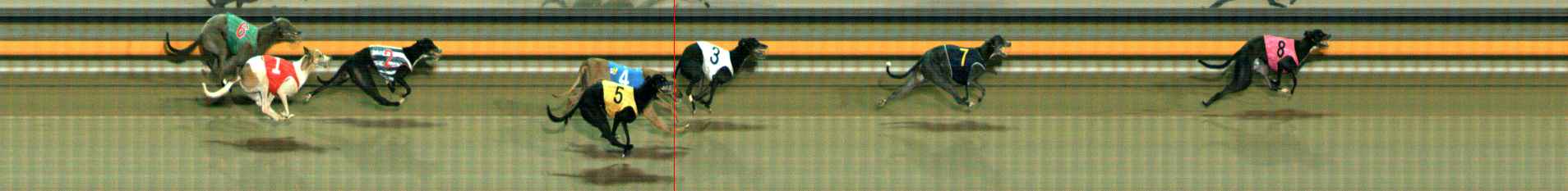 Photo finish for Ballarat Race 9