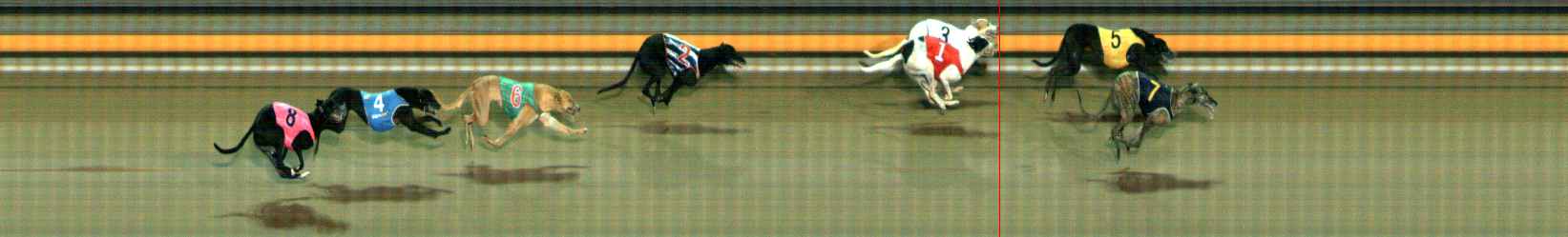 Photo finish for Ballarat Race 10