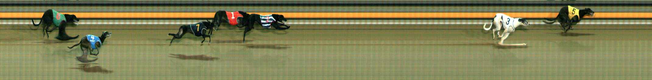 Photo finish for Ballarat Race 11