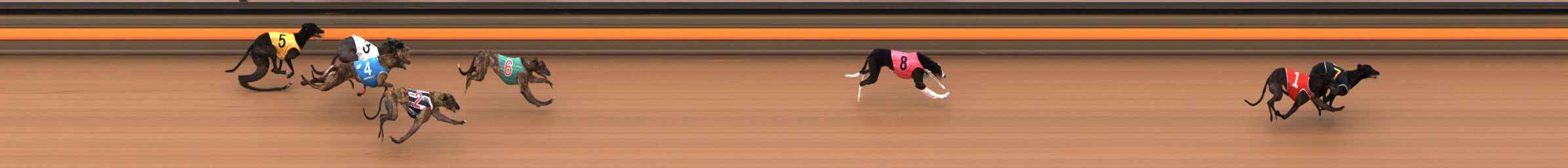 Photo finish for Ballarat Race 2