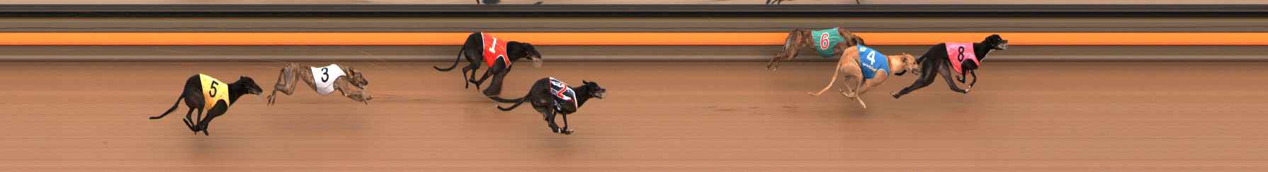 Photo finish for Ballarat Race 3