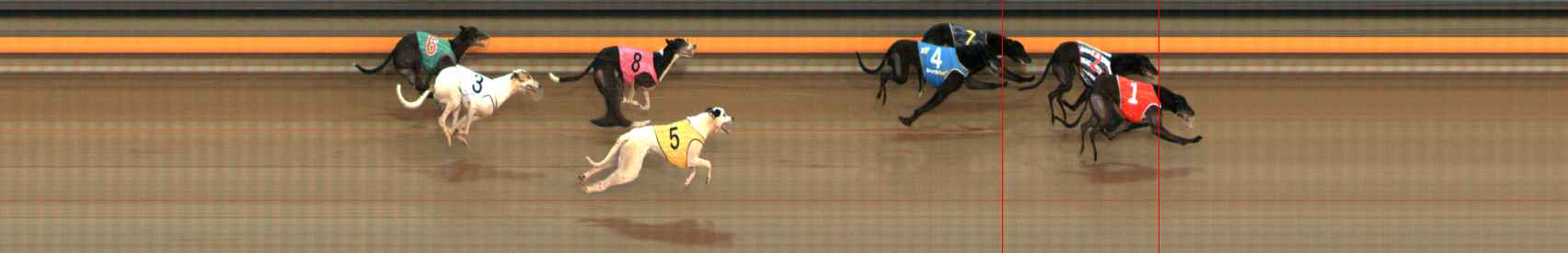 Photo finish for Ballarat Race 6