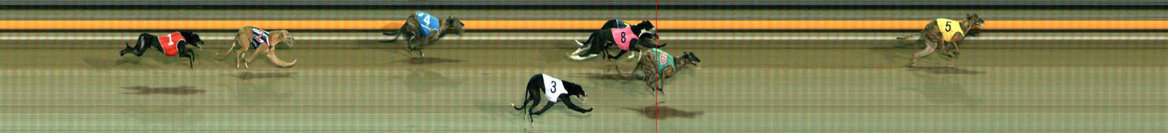 Photo finish for Ballarat Race 8