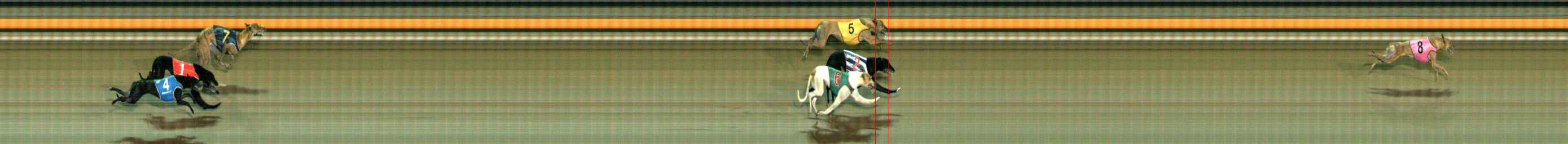 Photo finish for Ballarat Race 9