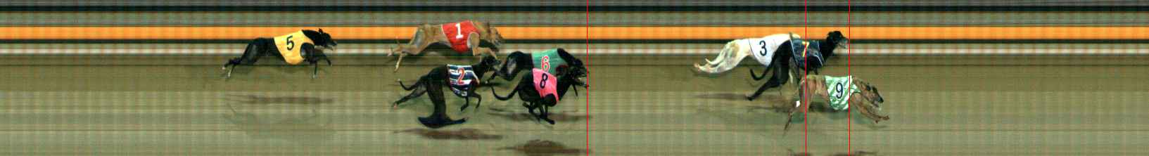 Photo finish for Ballarat Race 10