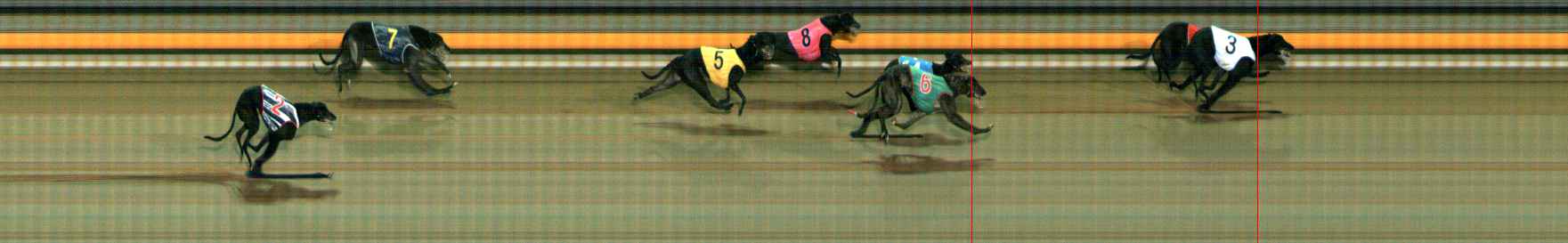 Photo finish for Ballarat Race 12