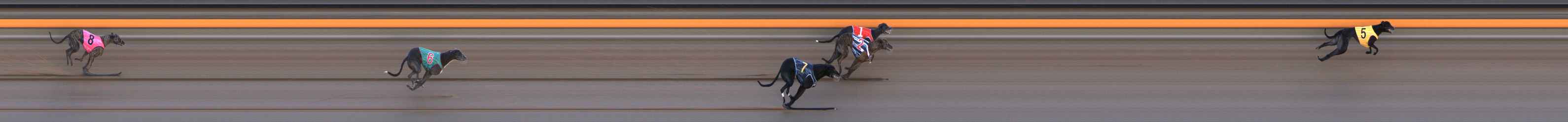 Photo finish for Ballarat Race 1