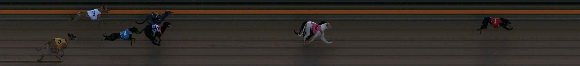 Photo finish for Ballarat Race 2