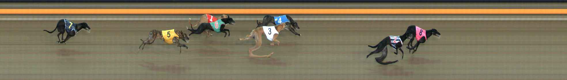 Photo finish for Ballarat Race 4