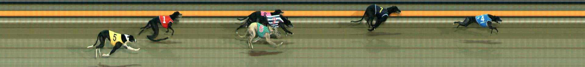 Photo finish for Ballarat Race 5