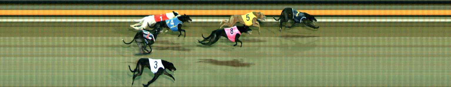 Photo finish for Ballarat Race 6