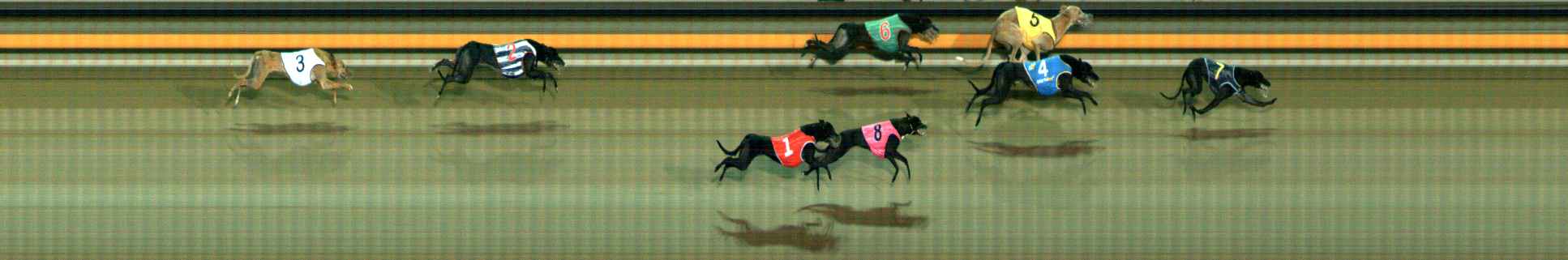 Photo finish for Ballarat Race 7