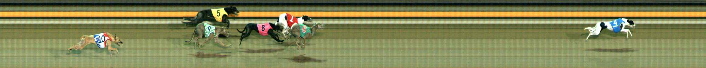 Photo finish for Ballarat Race 8