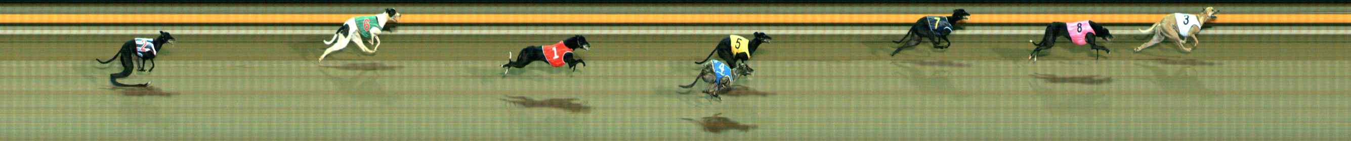 Photo finish for Ballarat Race 9