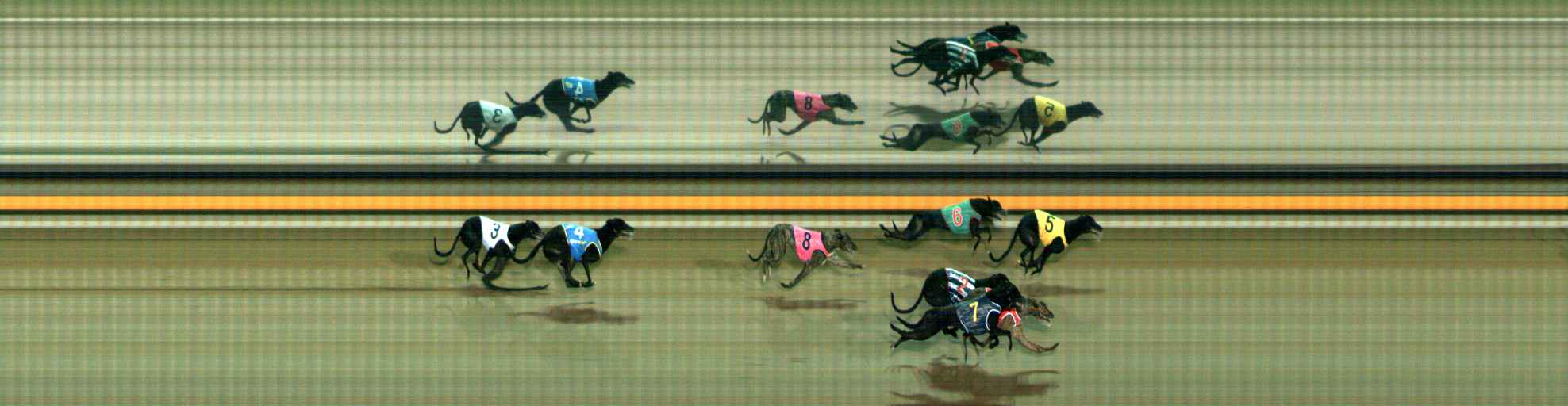 Photo finish for Ballarat Race 10