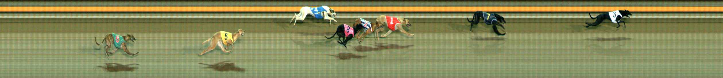 Photo finish for Ballarat Race 11