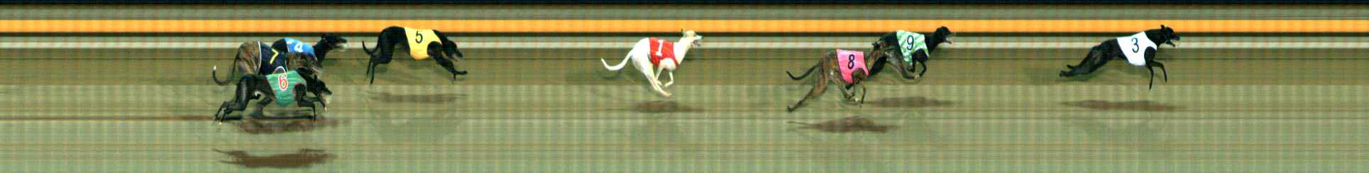 Photo finish for Ballarat Race 12