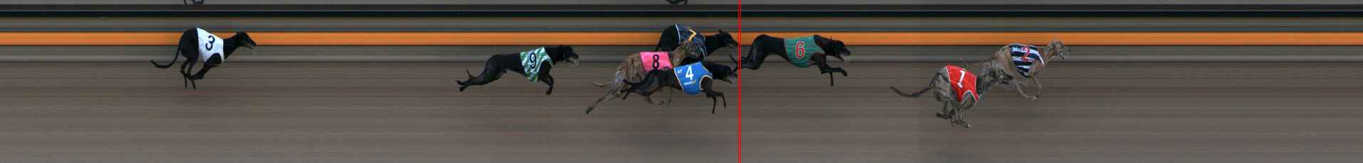Photo finish for Ballarat Race 1