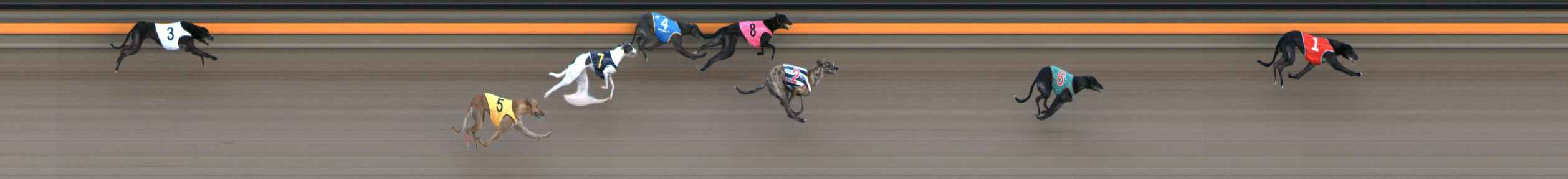Photo finish for Ballarat Race 2
