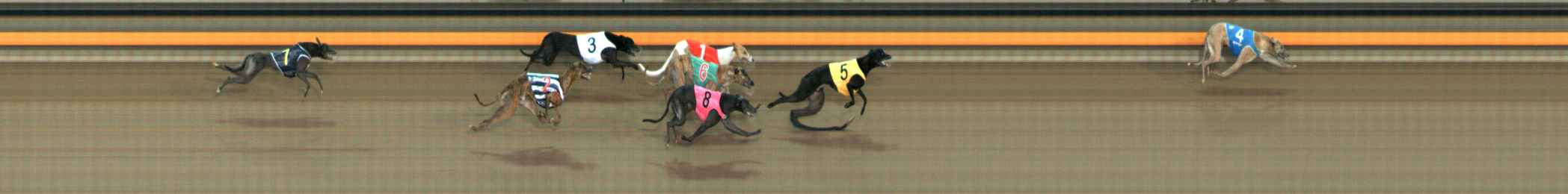Photo finish for Ballarat Race 3