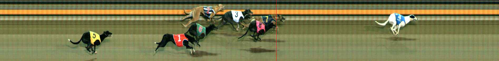 Photo finish for Ballarat Race 5