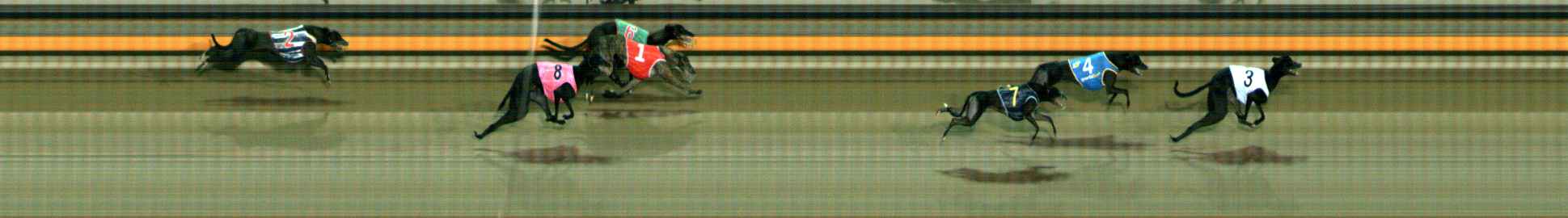 Photo finish for Ballarat Race 6