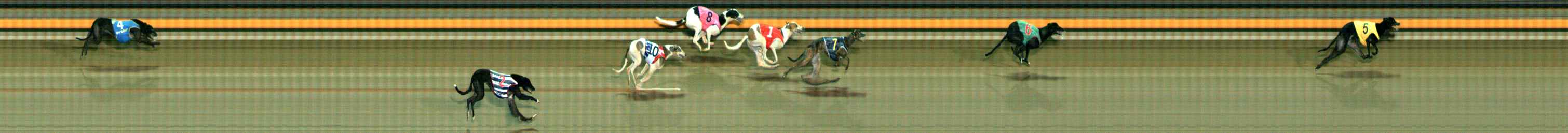 Photo finish for Ballarat Race 8