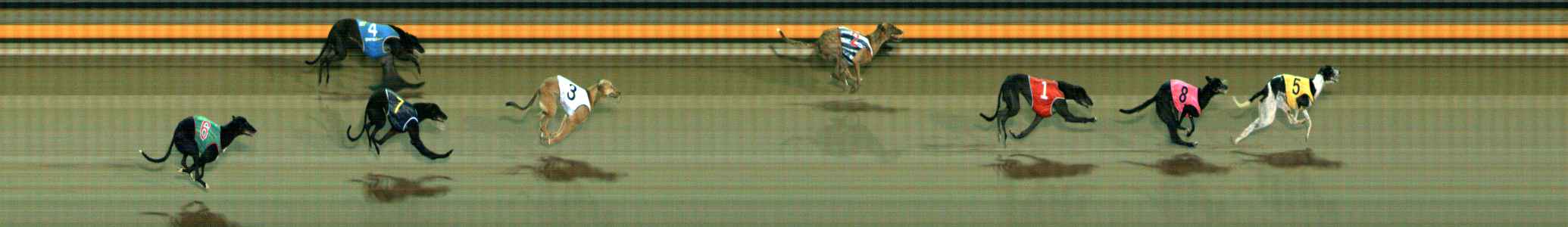 Photo finish for Ballarat Race 9