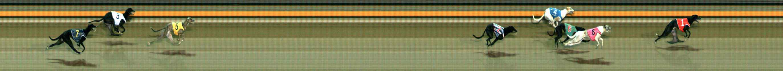 Photo finish for Ballarat Race 10