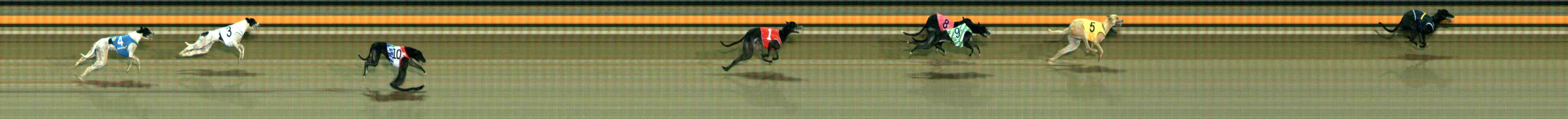 Photo finish for Ballarat Race 11