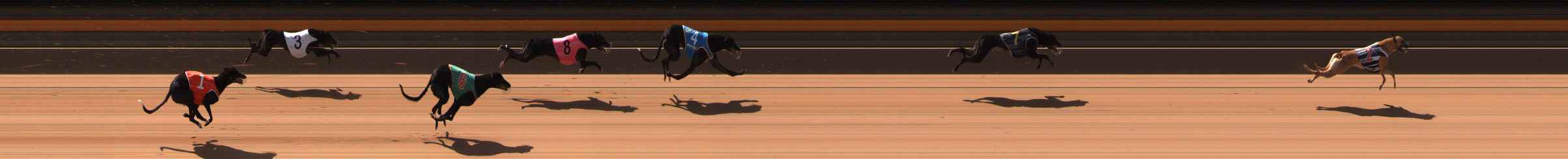 Photo finish for Ballarat Race 1