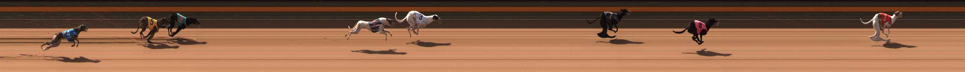 Photo finish for Ballarat Race 2