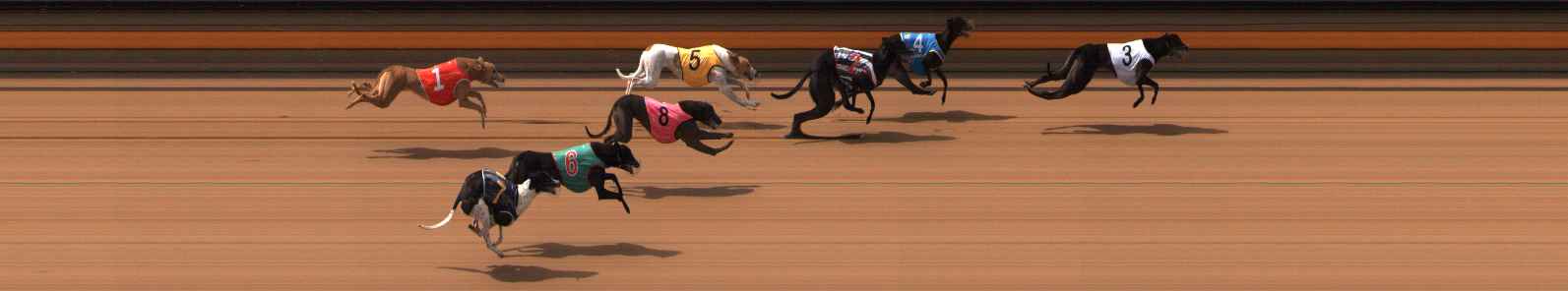 Photo finish for Ballarat Race 7