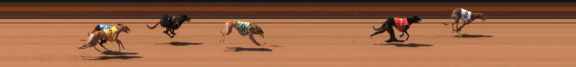 Photo finish for Ballarat Race 8