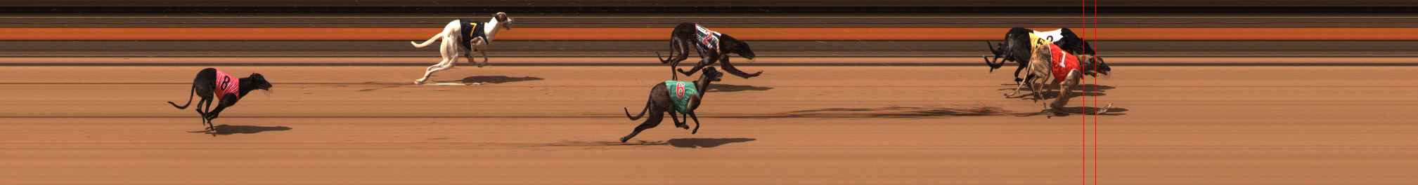 Photo finish for Ballarat Race 10